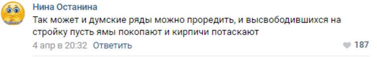 Россияне в соцсетях предложили депутатам поработать за мигрантов. «Лопаты в руки и вперед с песней» 